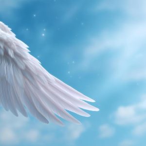 Give Us the Wings of Faith